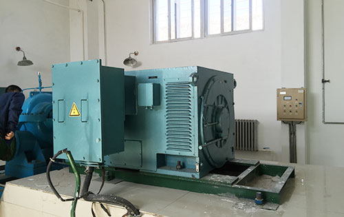 Y5001-2/1120KW某水电站工程主水泵使用我公司高压电机