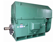 Y5001-2/1120KWYKK系列高压电机
