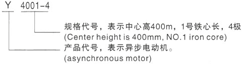 西安泰富西玛Y系列(H355-1000)高压Y5001-2/1120KW三相异步电机型号说明