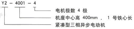 YR系列(H355-1000)高压Y5001-2/1120KW三相异步电机西安西玛电机型号说明